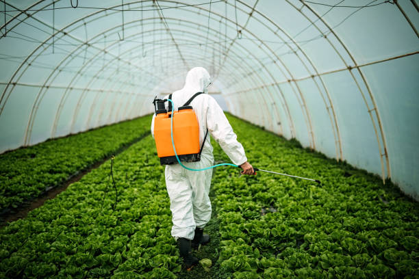 Best Pest Prevention Services  in Orange, CA
