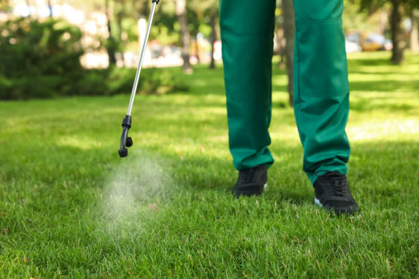 Best Bed Bug Extermination  in Orange, CA