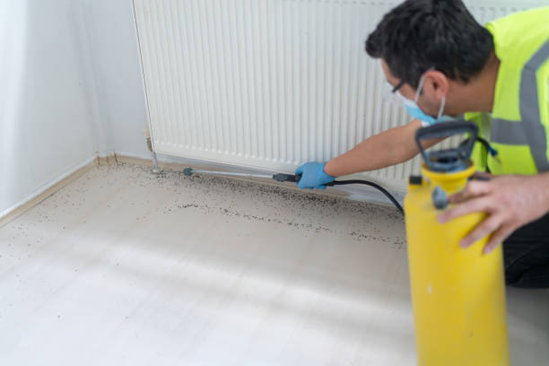 Best Pest Removal Services  in Orange, CA